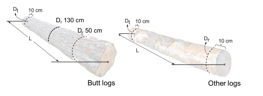 log volum